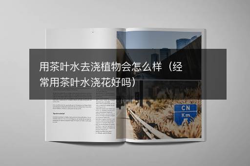 用茶叶水去浇植物会怎么样（经常用茶叶水浇花好吗）