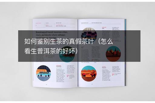 如何鉴别生茶的真假茶叶（怎么看生普洱茶的好坏）