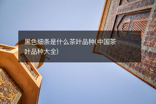 黑色细条是什么茶叶品种(中国茶叶品种大全)