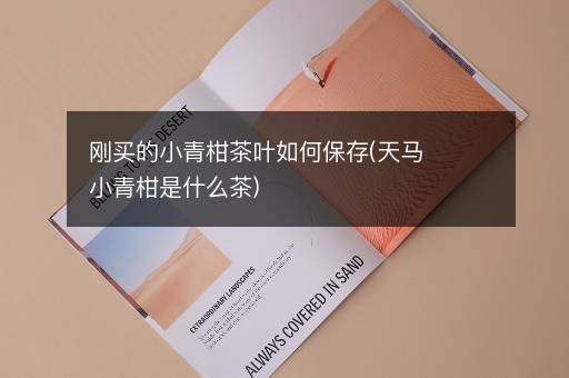 刚买的小青柑茶叶如何保存(天马小青柑是什么茶)