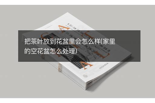 把茶叶放到花盆里会怎么样(家里的空花盆怎么处理)