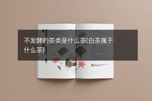 不发酵的茶类是什么茶(白茶属于什么茶)