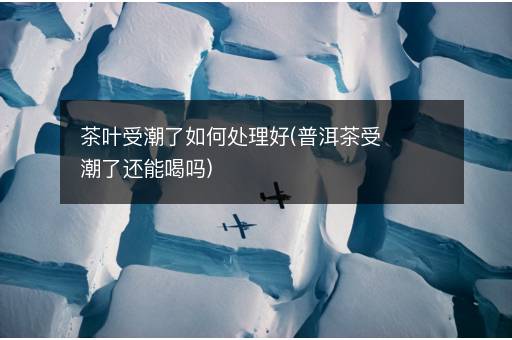 茶叶受潮了如何处理好(普洱茶受潮了还能喝吗)