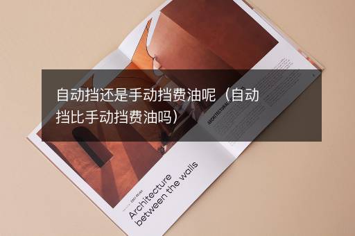 自动挡还是手动挡费油呢（自动挡比手动挡费油吗）