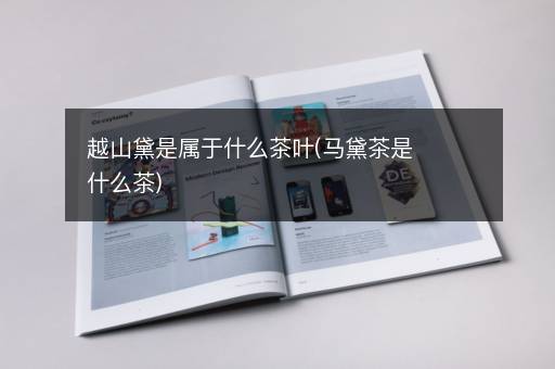 越山黛是属于什么茶叶(马黛茶是什么茶)