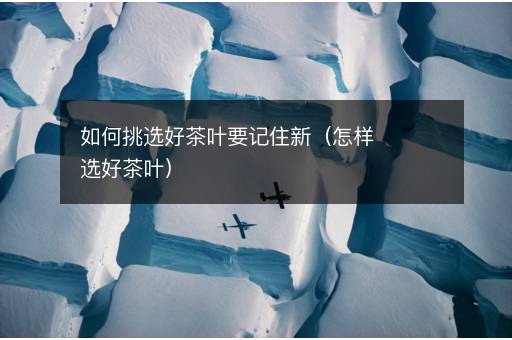 如何挑选好茶叶要记住新（怎样选好茶叶）
