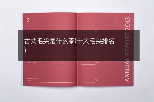 古丈毛尖是什么茶(十大毛尖排名)