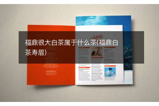 福鼎很大白茶属于什么茶(福鼎白茶寿眉)