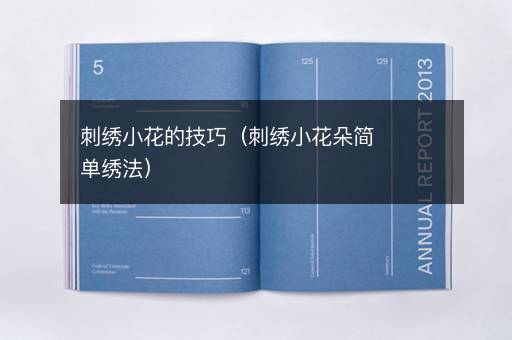 刺绣小花的技巧（刺绣小花朵简单绣法）
