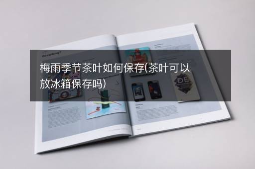 梅雨季节茶叶如何保存(茶叶可以放冰箱保存吗)
