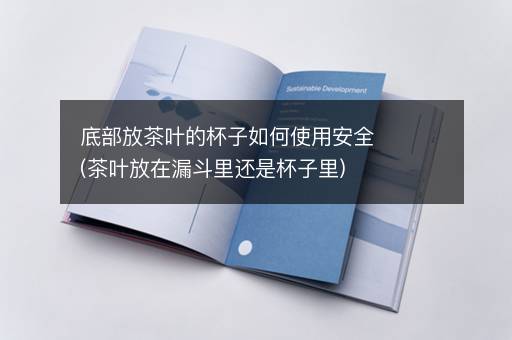 底部放茶叶的杯子如何使用安全(茶叶放在漏斗里还是杯子里)