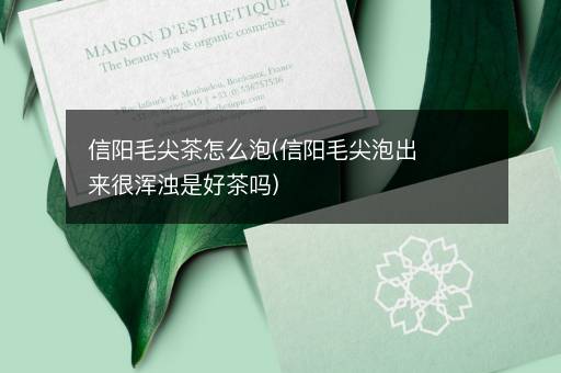 信阳毛尖茶怎么泡(信阳毛尖泡出来很浑浊是好茶吗)