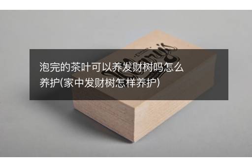 泡完的茶叶可以养发财树吗怎么养护(家中发财树怎样养护)