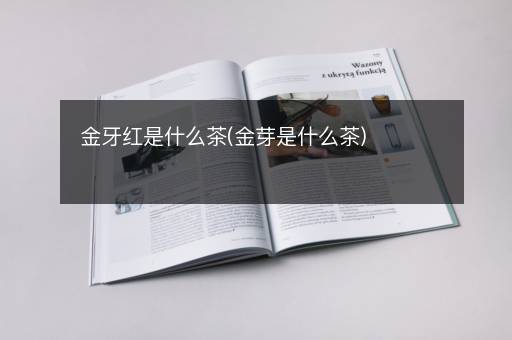 金牙红是什么茶(金芽是什么茶)