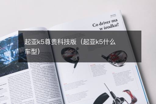 起亚k5尊贵科技版（起亚k5什么车型）