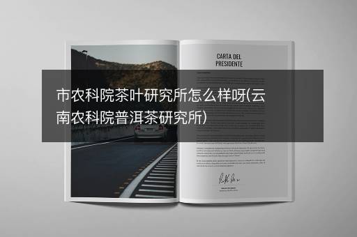 市农科院茶叶研究所怎么样呀(云南农科院普洱茶研究所)