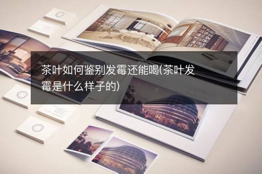 茶叶如何鉴别发霉还能喝(茶叶发霉是什么样子的)