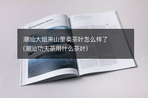 潮汕大姐来山里卖茶叶怎么样了(潮汕功夫茶用什么茶叶)