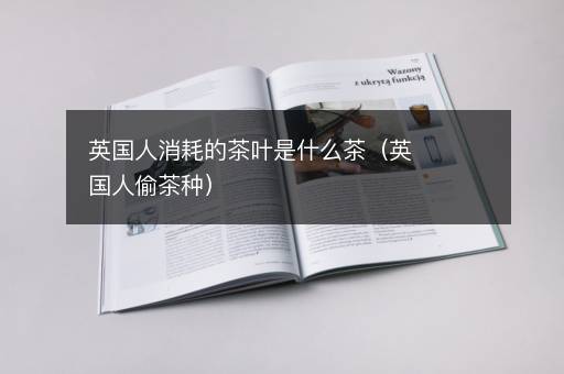 英国人消耗的茶叶是什么茶（英国人偷茶种）