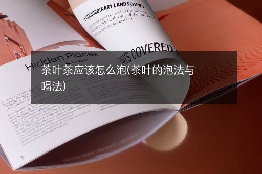茶叶茶应该怎么泡(茶叶的泡法与喝法)