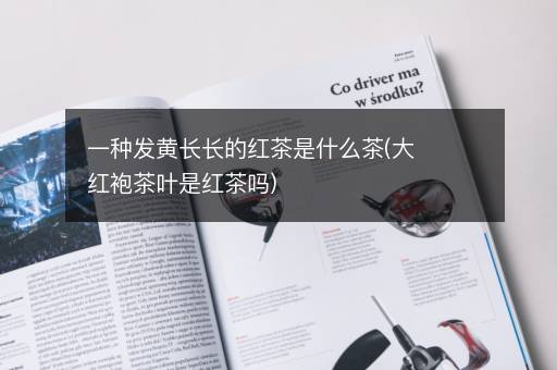 一种发黄长长的红茶是什么茶(大红袍茶叶是红茶吗)