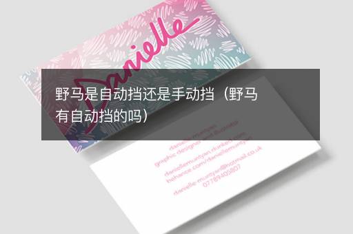 野马是自动挡还是手动挡（野马有自动挡的吗）