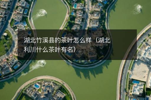 湖北竹溪县的茶叶怎么样（湖北利川什么茶叶有名）