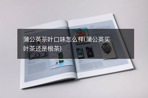 蒲公英茶叶口味怎么样(蒲公英买叶茶还是根茶)