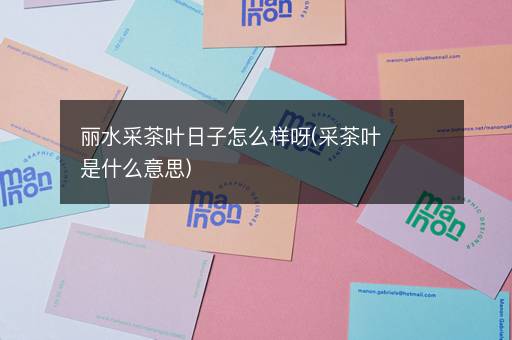 丽水采茶叶日子怎么样呀(采茶叶是什么意思)