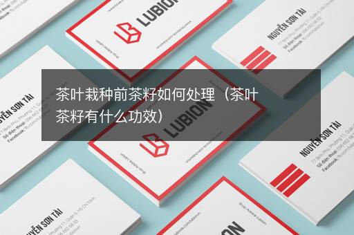 茶叶栽种前茶籽如何处理（茶叶茶籽有什么功效）