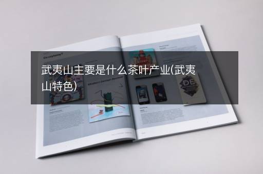 武夷山主要是什么茶叶产业(武夷山特色)